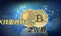 数字货币基础数据标准是什么样的呢图片(数字货币基础数据标准是什么样的呢