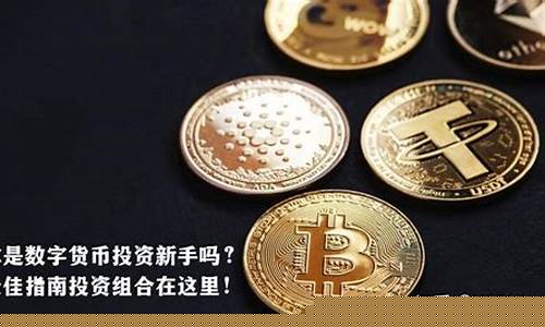 什么叫做数字货币投资基金业务是什么(哪些基金投资数字货币概念股)