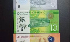 尼加拉瓜央行数字货币政策最新消息(尼加拉瓜银行)
