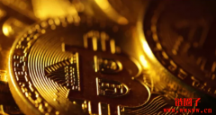 美国现货比特币etf迎来自6月以来最大单日5.56亿美元资金流入 美国现货比特币etf迎来自6月以来最大单日5.56亿美元资金流入