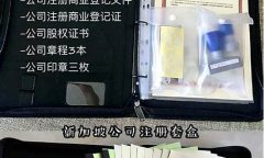 新加坡公司怎么买卖数字货币的(新加坡数字货币交易中心)