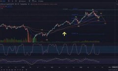数字货币中imo是什么意思(数字货币imc) 数字货币中imo是什么意思(数字货币imc)