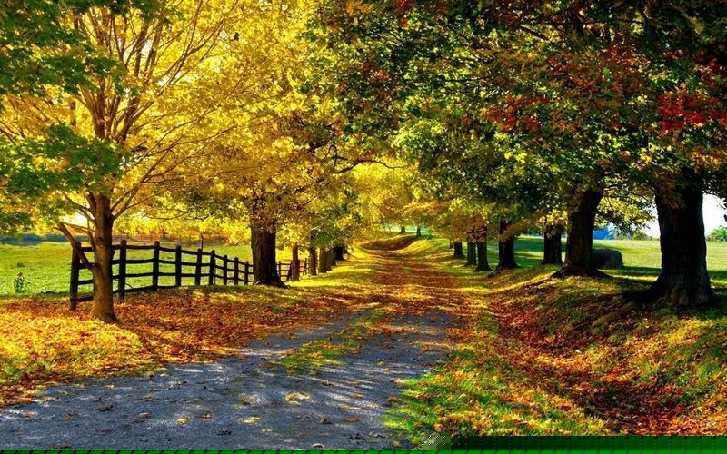 ethmm钱包usdt(eth-usdt)