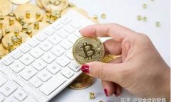 购买哪个比特币硬件钱包完全指南