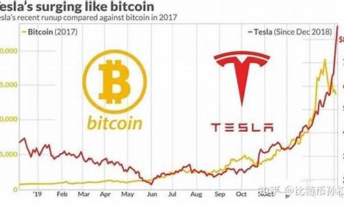 特斯拉数字货币是什么(特斯拉的数字货币)