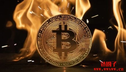 特朗普胜选引爆加密货币热潮,比特币升至历史新高