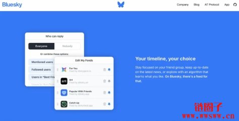 美国总统大选的意外赢家:百万用户涌向的Bluesky是什么?