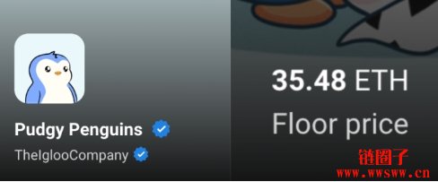 PENGU代币上市币安引热潮,玩具遭开盒抢QR Code酿争议