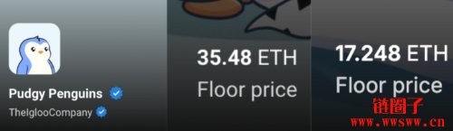 胖企鹅代币PENGU首日交易暴跌将近60%,NFT地板价也惨遭腰斩