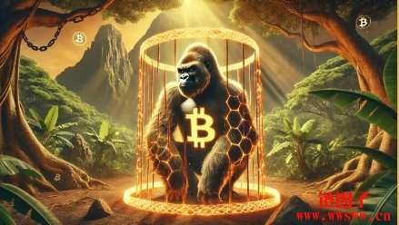 MSTR 可转换债券:是否能在2025 年2 月前发行?