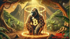 MSTR 可转换债券:是否能在2025 年2 月前发行? MSTR 可转换债券:是否能在2025 年2 月前发行?