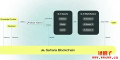 Sahara AI将于2025年上线主网,测试网白名单获取方式曝光 Sahara AI将于2025年上线主网,测试网白名单获取方式曝光