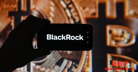 上市不到一年吸金逾500亿美元!贝莱德IBIT被誉为ETF史上最成功的发行