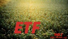 盘点2024年各ETF报酬率|2025将有更多加密ETF推出 盘点2024年各ETF报酬率|2025将有更多加密ETF推出