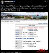 Bitwise提交狗狗币ETF申请,迷因币ETF遍地开花 Bitwise提交狗狗币ETF申请,迷因币ETF遍地开花