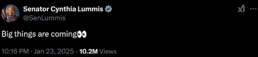 Cynthia Lummis 被选为参议院数字资产小组委员会主席