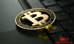 马斯克考虑应用区块链技术提高美国政府效率 马斯克考虑应用区块链技术提高美国政府效率