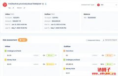 数字信任的未来:AI协作防诈,监控风险金流 数字信任的未来:AI协作防诈,监控风险金流