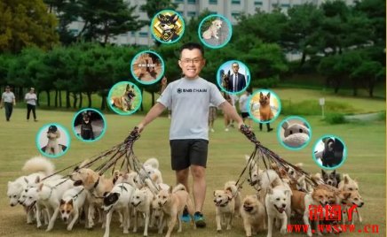 BROCCOLI之乱买哪只!CZ公告新宠物名称后BROCCOLI币百家争鸣