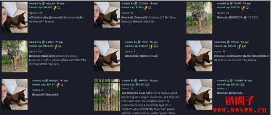 赵长鹏CZ曝光爱犬名字Broccoli,Broccoli币市值一度飙破2000万美元