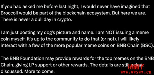 赵长鹏CZ曝光爱犬名字Broccoli,Broccoli币市值一度飙破2000万美元