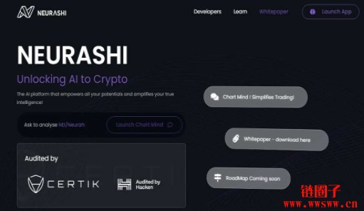 Neurashi/NEI币是什么?未来如何?NEI价格走势分析及预测