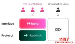 Hana Network 是什么?Hana Network 解决了什么问题? Hana Network 是什么?Hana Network 解决了什么问题?