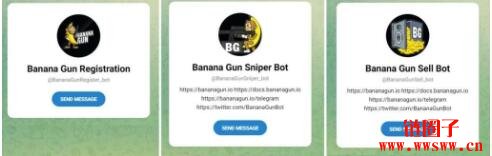 BANANA是什么币?BANANA币价格预测与未来前景如何?