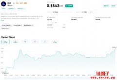 什么是Bedrock (BR币)？值得投资吗？