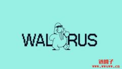 Walrus/WAL币是什么?WAL空投、代币经济学及未来展望 Walrus/WAL币是什么?WAL空投、代币经济学及未来展望