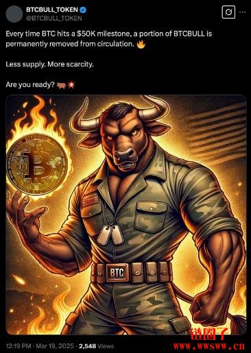 什么是 BTC Bull代币?是什么让BTC Bull脱颖而出?