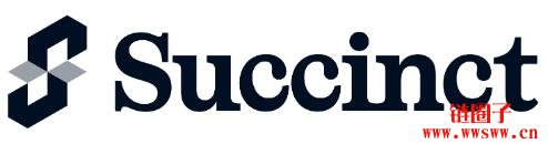 什么是 Succinct区块链？如何运作？