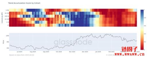 比特币巨鲸累积趋势增强，与短期持有者行为分歧日益明显