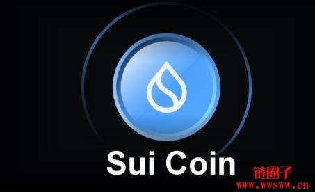 Sui是什么币?未来如何?Sui币价格走势及未来前景分析