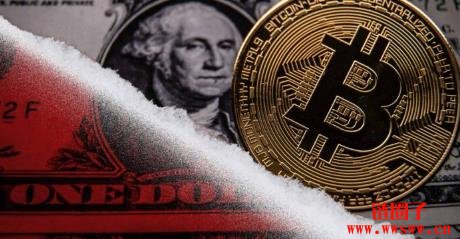 美元走弱利多比特币！Bitwise：BTC年底上看20万美元