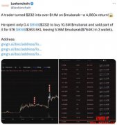 什么是Mubarak币？是什么推动了Mubarak币的流行？