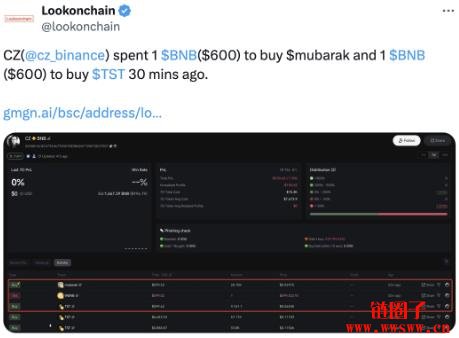 什么是Mubarak币?是什么推动了Mubarak币的流行?