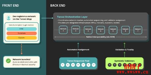 什么是Tanssi Network？TANSSI代币经济模型详解