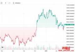 比特币减半满周年，机构进场加速牛市节奏