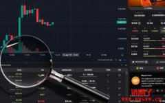 如何仅靠 DexScreener及 Solscan快速找出链上迷因币庄家？