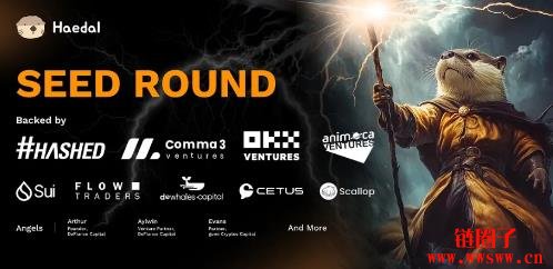 HAEDAL币是什么？HAEDAL币空投、价格及未来前景如何？