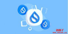 什么是SUI区块链？SUI生态系统及其关键组成部分