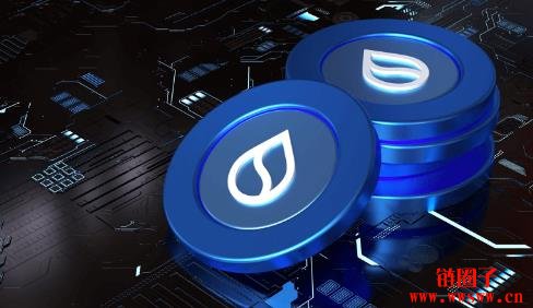 什么是SUI区块链？SUI生态系统及其关键组成部分