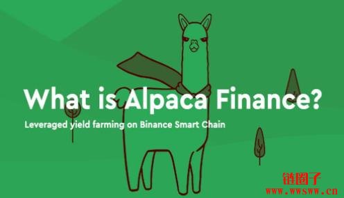 ALPACA币是什么？ALPACA币价格预测以及未来前景如何？