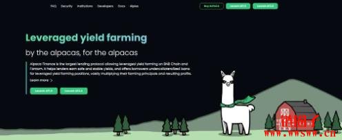 ALPACA币是什么？ALPACA币价格预测以及未来前景如何？