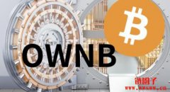 Bitwise推出OWNB ETF，一站购足比特币储备策略公司