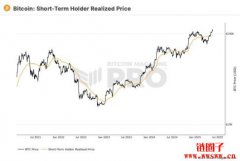 比特币攻高遇阻回测10.8万美元，短线筹码获利了结所致