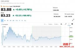 Circle荣耀上市首日大涨168%,将带起一波加密IPO风潮? Circle荣耀上市首日大涨168%,将带起一波加密IPO风潮?