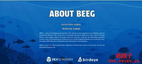 BEEG币是什么？与Beeg.com有关吗？BEEG币未来价格预测