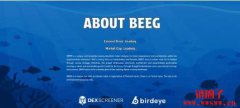BEEG币是什么？与Beeg.com有关吗？BEEG币未来价格预测